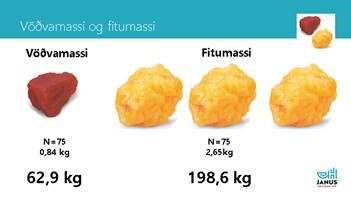 Hér má sjá vöðvamassann sem hópurinn hefur bætt á sig og fituna sem hann hefur losað sig við Hér má sjá vöðvamassann sem hópurinn hefur bætt á sig og fituna sem hann hefur losað sig við