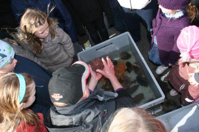 Áhugasamir gestir Barnahátíðar skoða furðufiska hjá Tómasi Knútssyni í Bláa hernum.