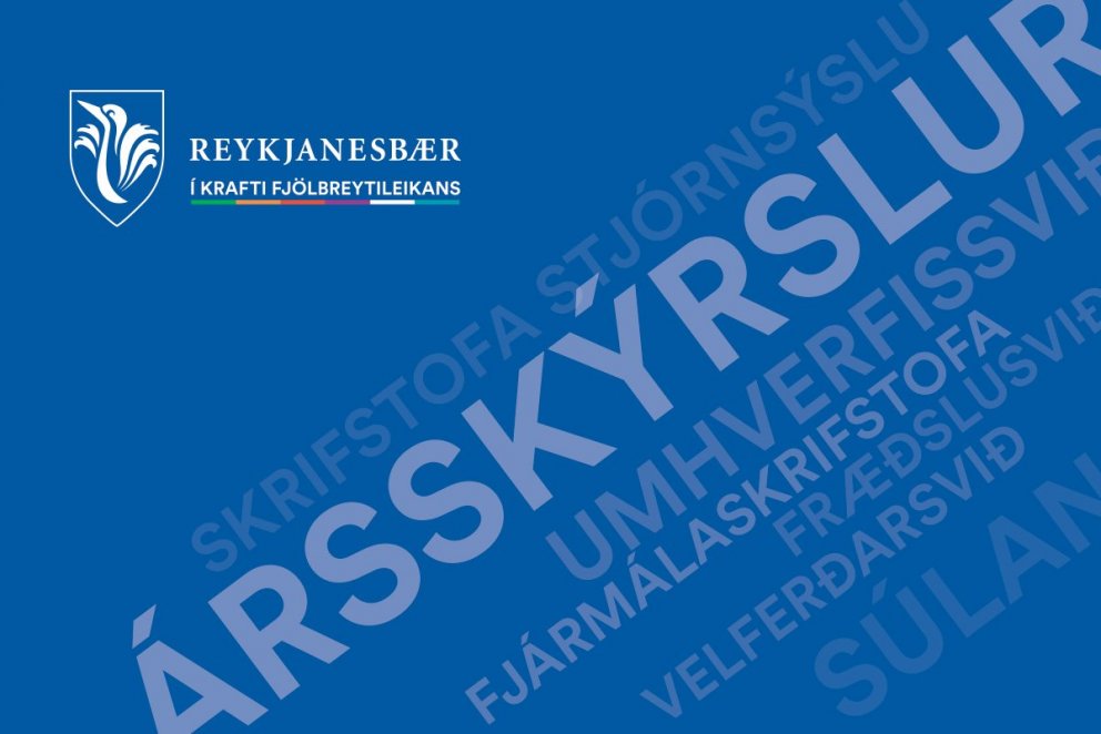Ársskýrslur