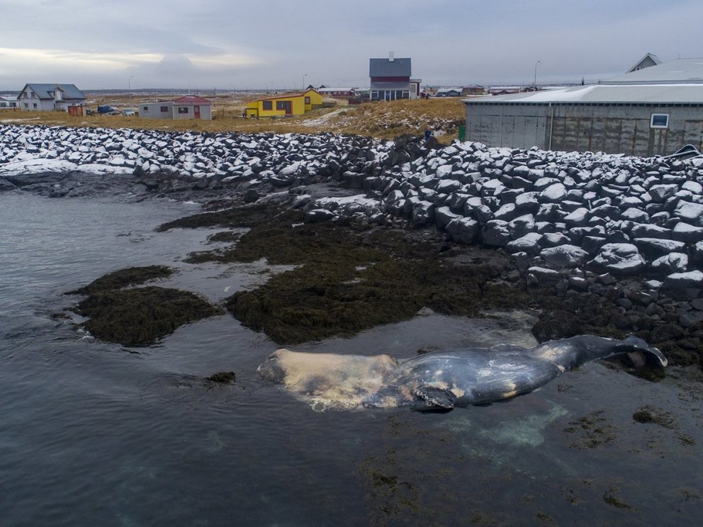 Mynd: Hilmar Bragi Bárðarson hjá Víkurfréttum