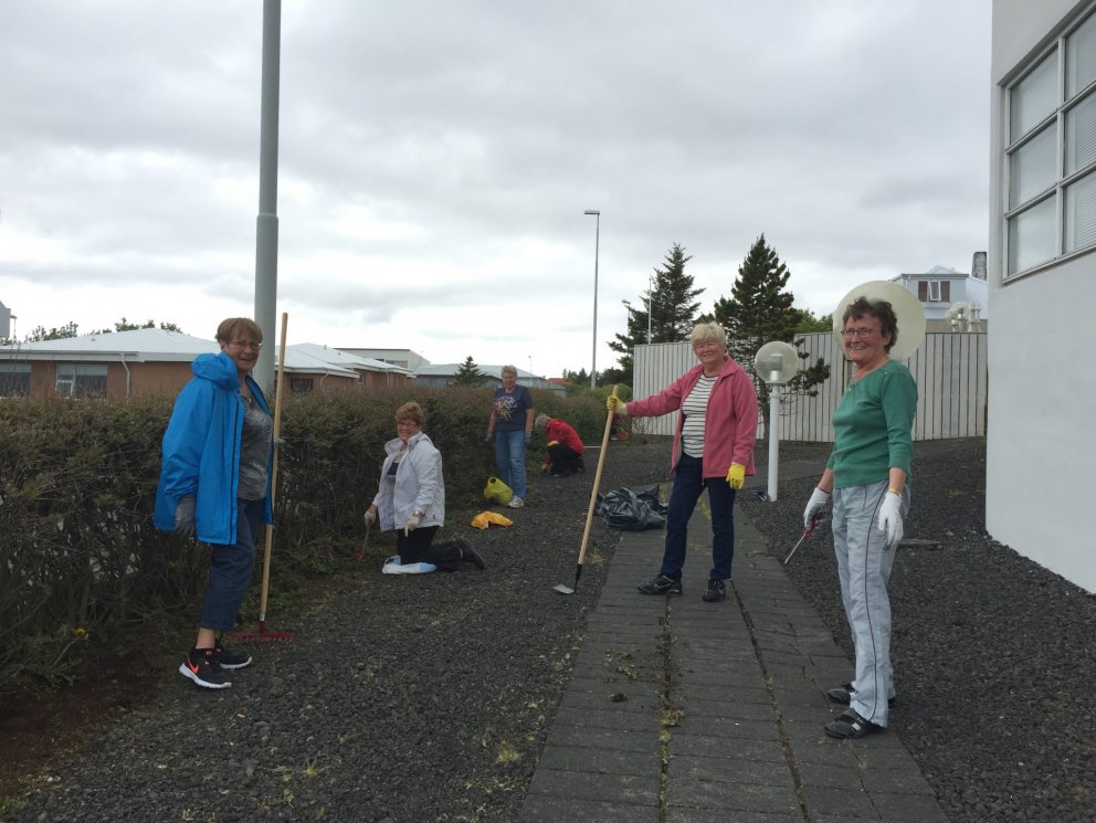 Íbúar í Hornbjargi gera fín í sínum beðum og umhverfi.