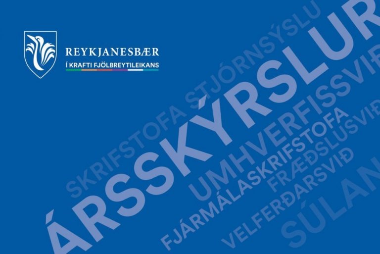 Ársskýrslur