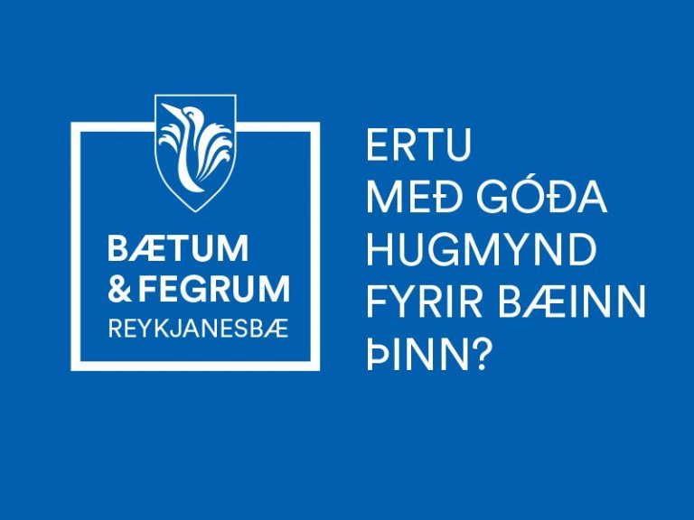 Hugmyndasöfnun 2021