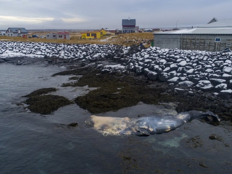 Mynd: Hilmar Bragi Bárðarson hjá Víkurfréttum