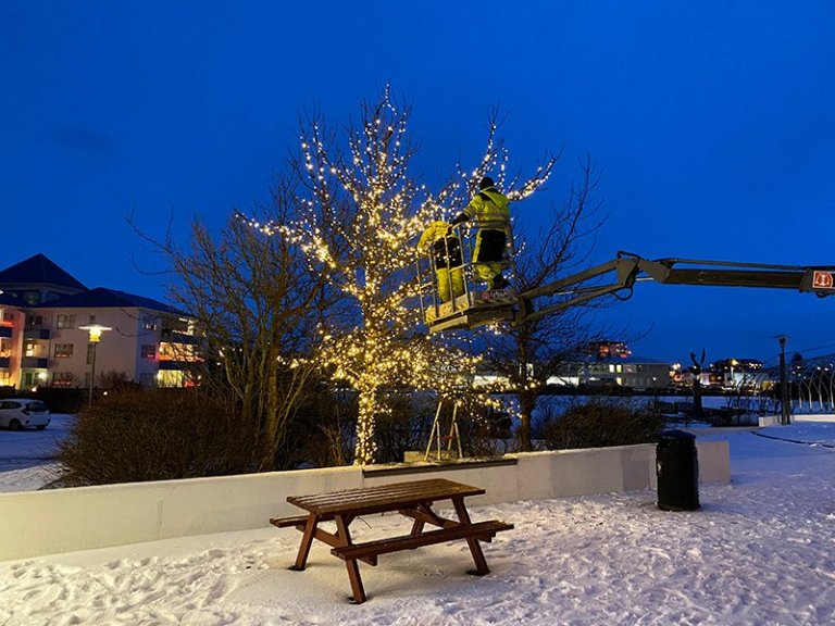 Skrúðgarðurinn skreyttur með fallegum ljósaskreytingum.